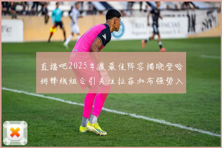直播吧2025年度最佳阵容揭晓登哈姆锋线组合引关注拉菲加布强势入选