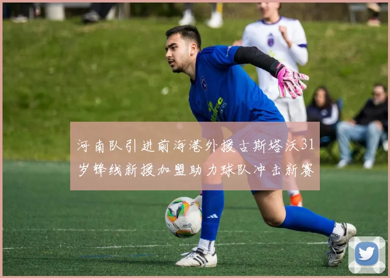 河南队引进前海港外援古斯塔沃31岁锋线新援加盟助力球队冲击新赛季