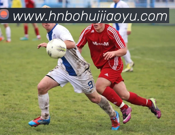 多媒体互动体验